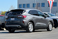 2021 Ford Escape Hybrid SE