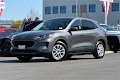 2021 Ford Escape Hybrid SE