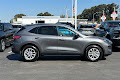 2021 Ford Escape Hybrid SE