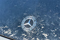 2020 Mercedes-Benz C-Class C 300